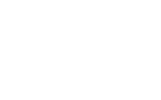Young Chemical Co.